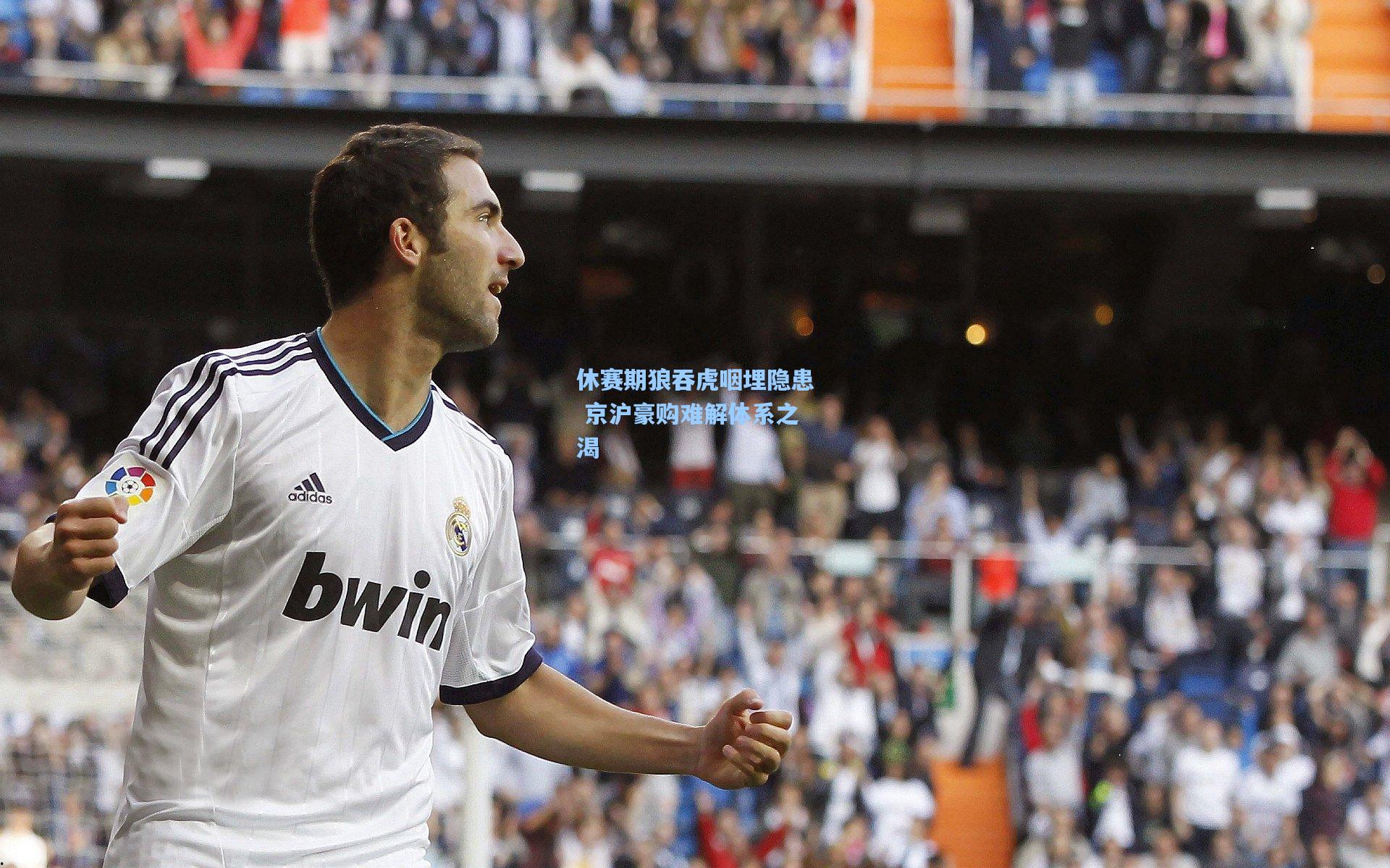 壹号娱乐|休赛期狼吞虎咽埋隐患 京沪豪购难解体系之渴